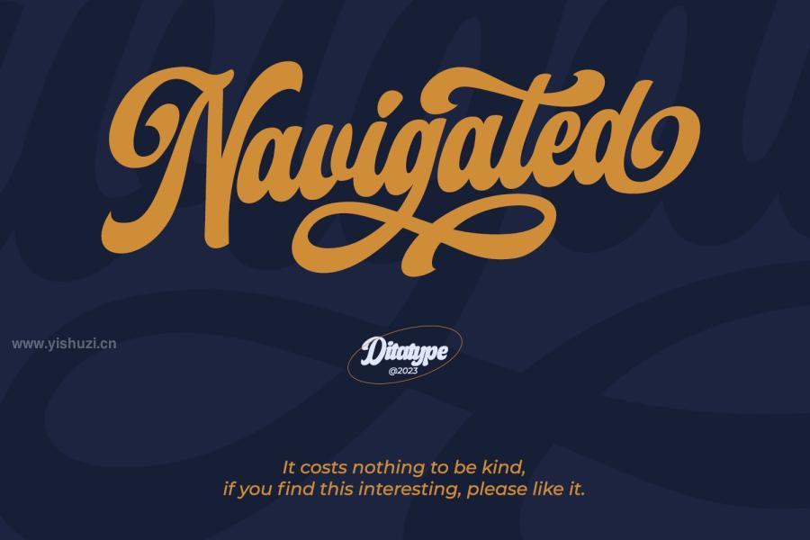 ysz-203976 Navigatedz9.jpg