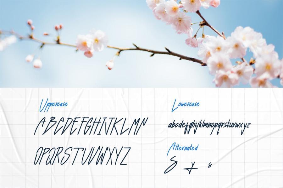 ysz-203980 Ariyani---Aesthetic-Handwritten-Fontz6.jpg