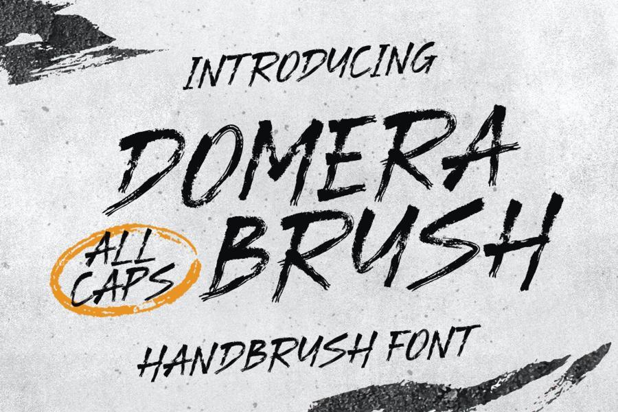 ysz-203991 Domera-Brush-Typefacez2.jpg