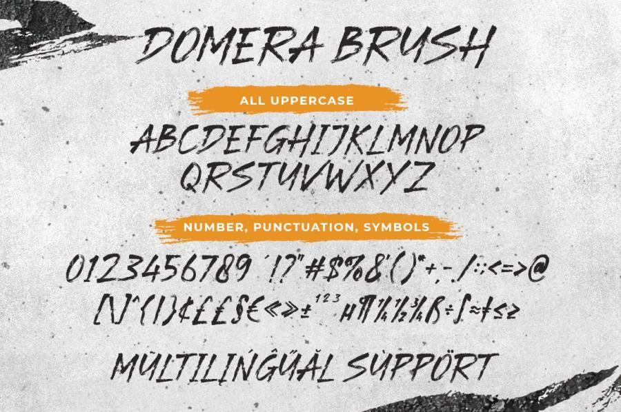 ysz-203991 Domera-Brush-Typefacez6.jpg