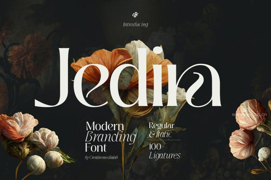 ysz-203999 Jedira---Modern-Branding-Logo-fontz2.jpg