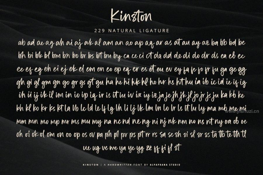 ysz-204018 Kinstonz9.jpg