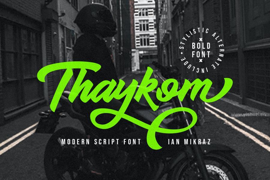 ysz-204036 Thaykom---Hand-Lettering-Modern-Script-Typefacez2.jpg