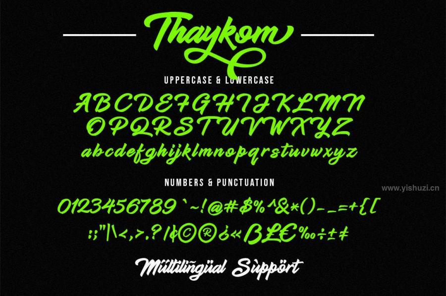 ysz-204036 Thaykom---Hand-Lettering-Modern-Script-Typefacez3.jpg