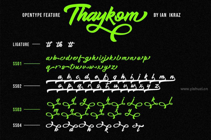 ysz-204036 Thaykom---Hand-Lettering-Modern-Script-Typefacez6.jpg