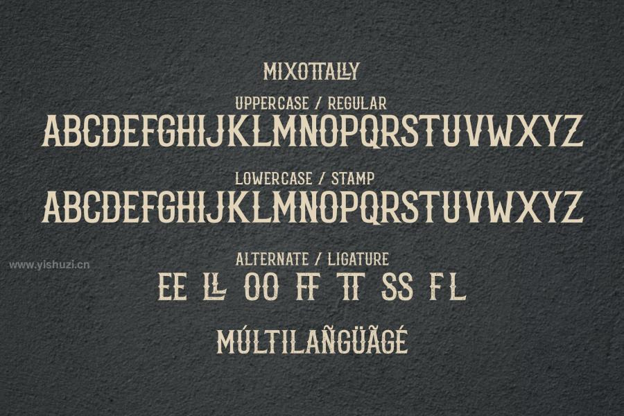 ysz-204167 mixottally---vintage-serif-displayz10.jpg