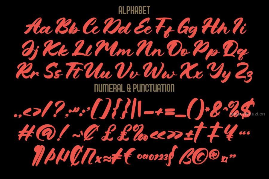 ysz-204181 Murved---Script-Font-with-Condensed-Typefacez3.jpg