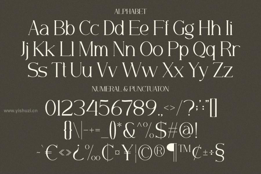 ysz-204203 Minorid---A-Modern-Serif-Fontz7.jpg