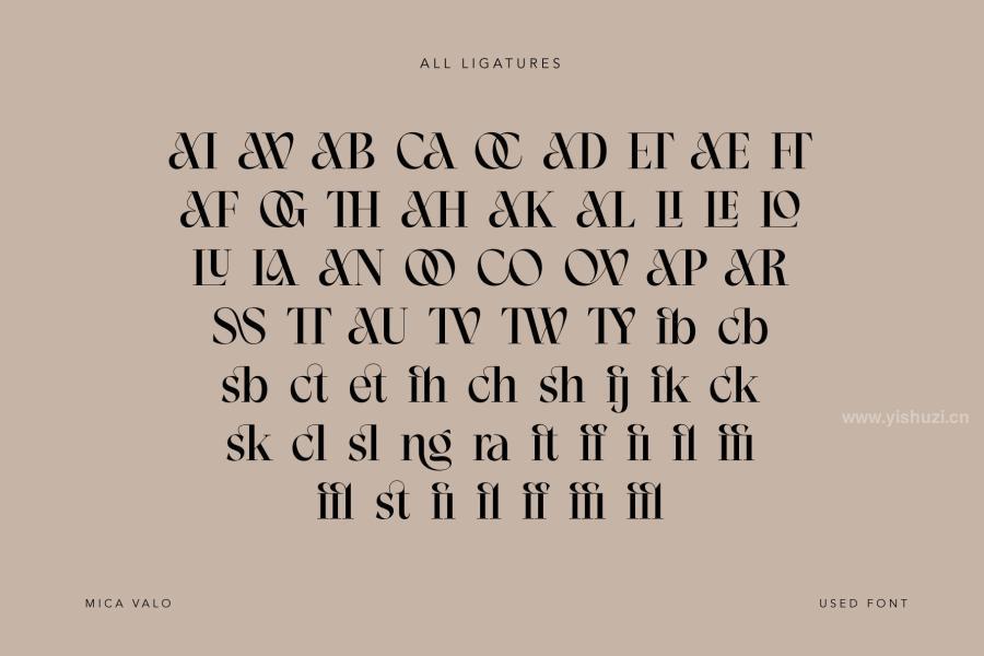 ysz-204204 Mica-Valo--Elegant-Serif-Fontz7.jpg
