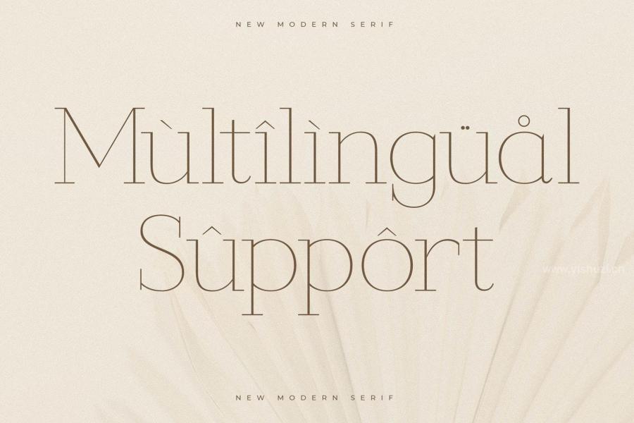 ysz-204205 Callidora-New-Modern-Serif-Fontz3.jpg