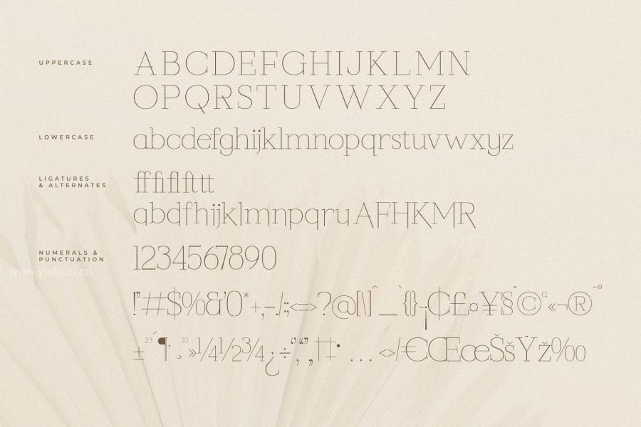 ysz-204205 Callidora-New-Modern-Serif-Fontz4.jpg