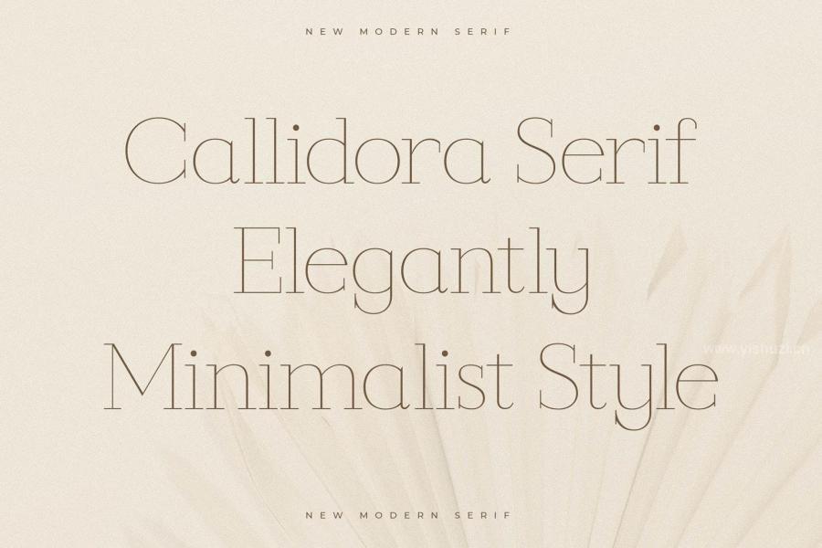 ysz-204205 Callidora-New-Modern-Serif-Fontz5.jpg