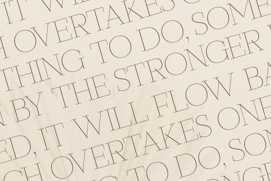 ysz-204205 Callidora-New-Modern-Serif-Fontz6.jpg