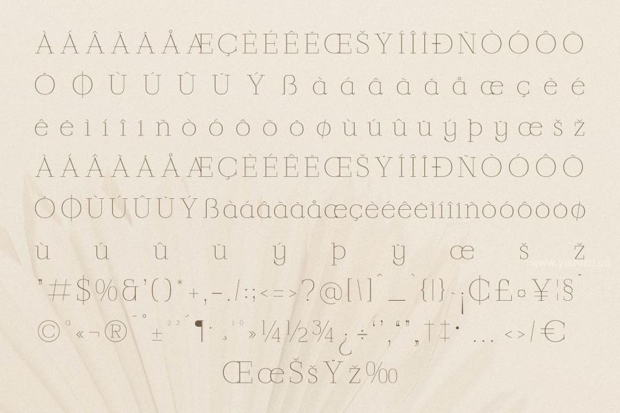 ysz-204205 Callidora-New-Modern-Serif-Fontz7.jpg