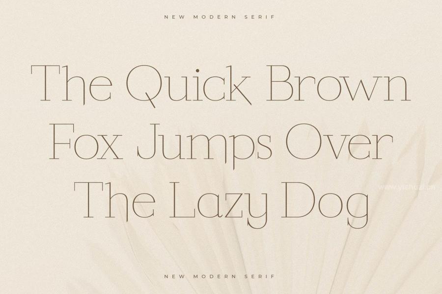 ysz-204205 Callidora-New-Modern-Serif-Fontz8.jpg