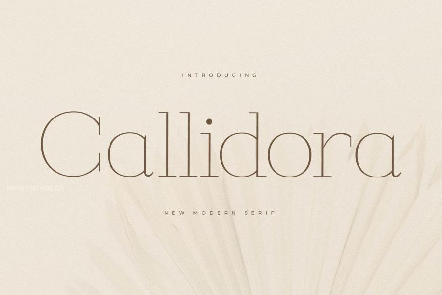 ysz-204205 Callidora-New-Modern-Serif-Fontz9.jpg