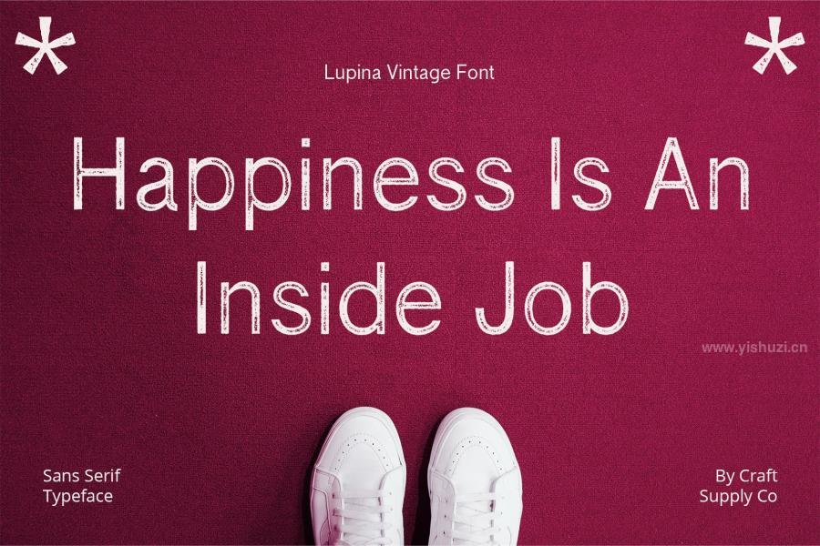 ysz-204230 Lupina-Vintage-–-Sans-Serif-Fontz3.jpg