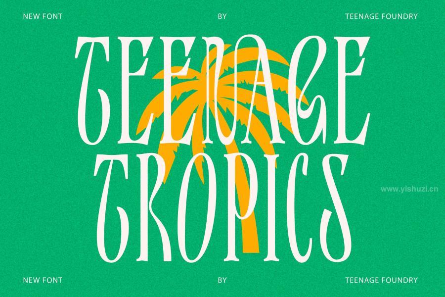 ysz-204233 Teenage-Tropics-Vintage-Serif-Typefacez2.jpg