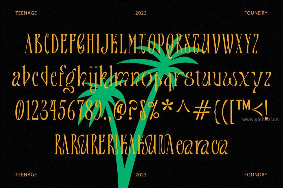 ysz-204233 Teenage-Tropics-Vintage-Serif-Typefacez3.jpg