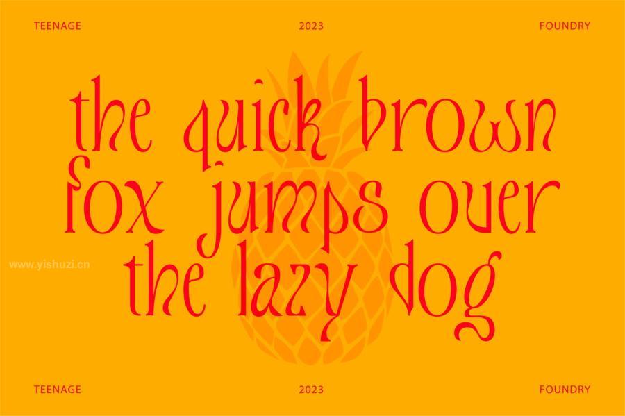 ysz-204233 Teenage-Tropics-Vintage-Serif-Typefacez5.jpg