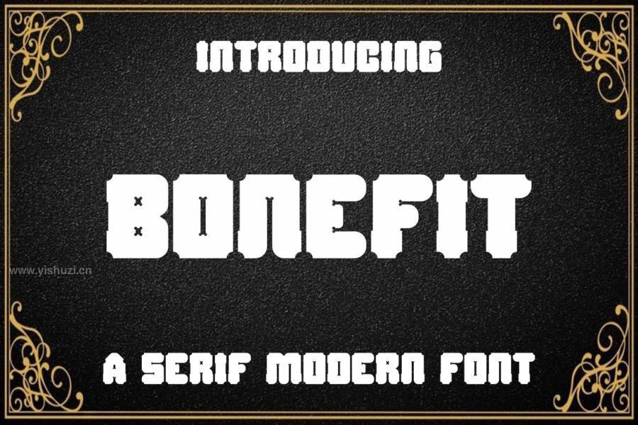ysz-204257 Bonefit---Modern-Fontz2.jpg