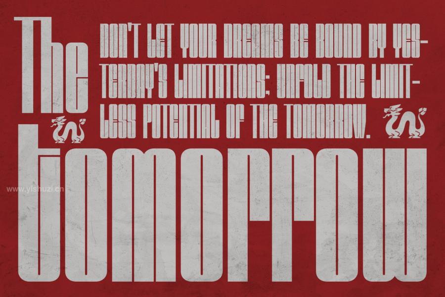ysz-204280 Gavynta---Modern-Condensed-Sans-Serifz3.jpg