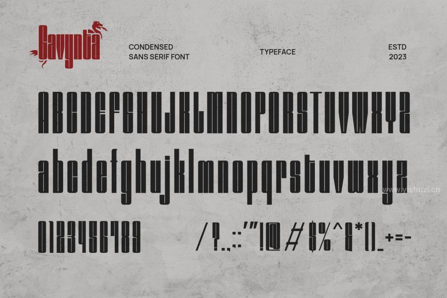 ysz-204280 Gavynta---Modern-Condensed-Sans-Serifz4.jpg