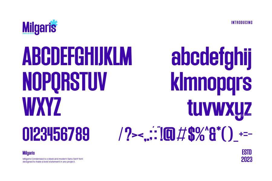 ysz-204281 Milgaris---Modern-Condensed-Sans-Serifz5.jpg