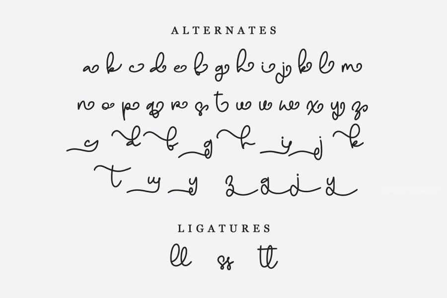 ysz-202708 MelancholyChristmas---Handwritten-Script-Fontz3.jpg