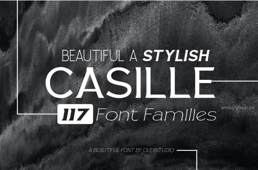 ysz-202732 Casille---Serif-Familiesz4.jpg