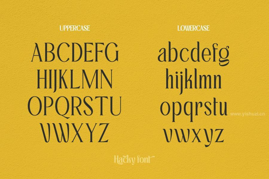 ysz-202764 Hacky---Luxury-Serif-Fontz4.jpg