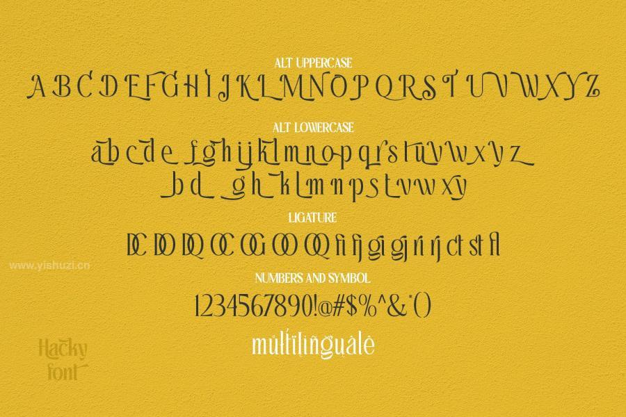 ysz-202764 Hacky---Luxury-Serif-Fontz9.jpg