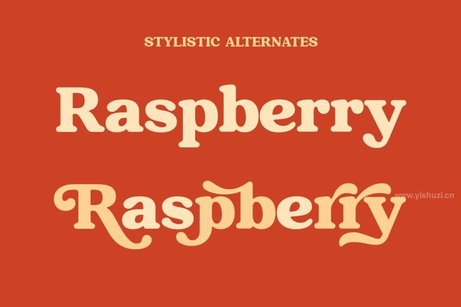 ysz-300109 Raspberie---Retro-Modernz9.jpg