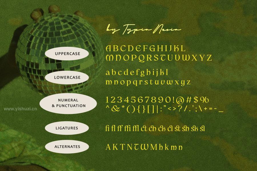 ysz-300110 Alweron---Classic-Vintage-Pop-Retro-Style-Fontz10.jpg