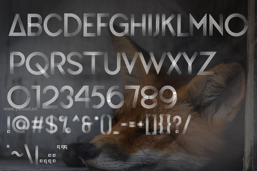 ysz-300061 Brownfox---Sans-Serif-Fontsz3.jpg