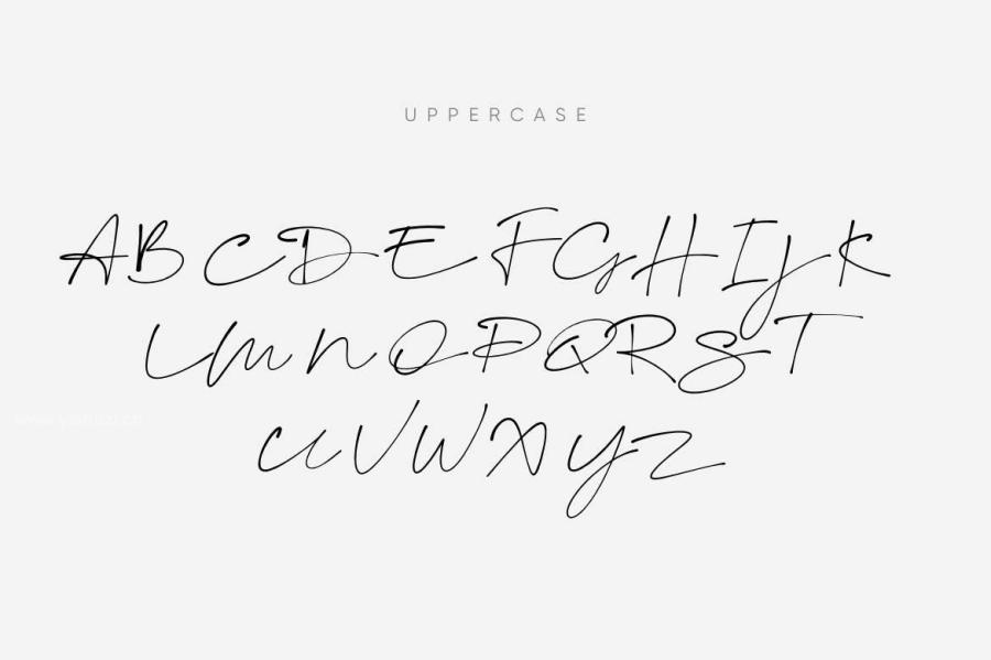 ysz-300071 Script-Fonts-Duoz3.jpg
