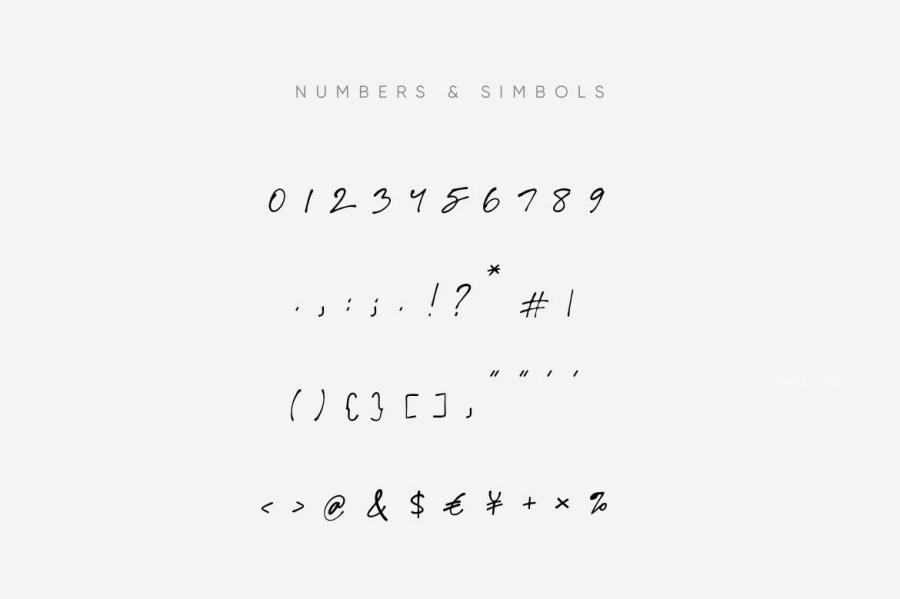 ysz-300071 Script-Fonts-Duoz5.jpg