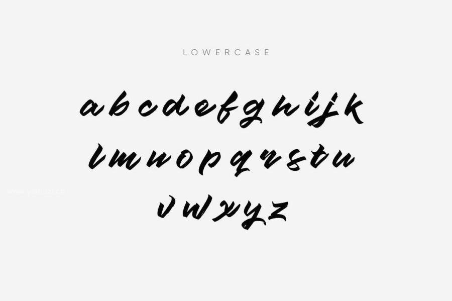 ysz-300071 Script-Fonts-Duoz6.jpg