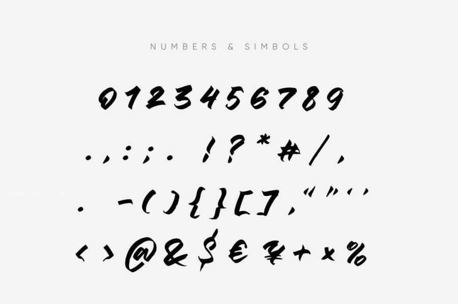 ysz-300071 Script-Fonts-Duoz9.jpg