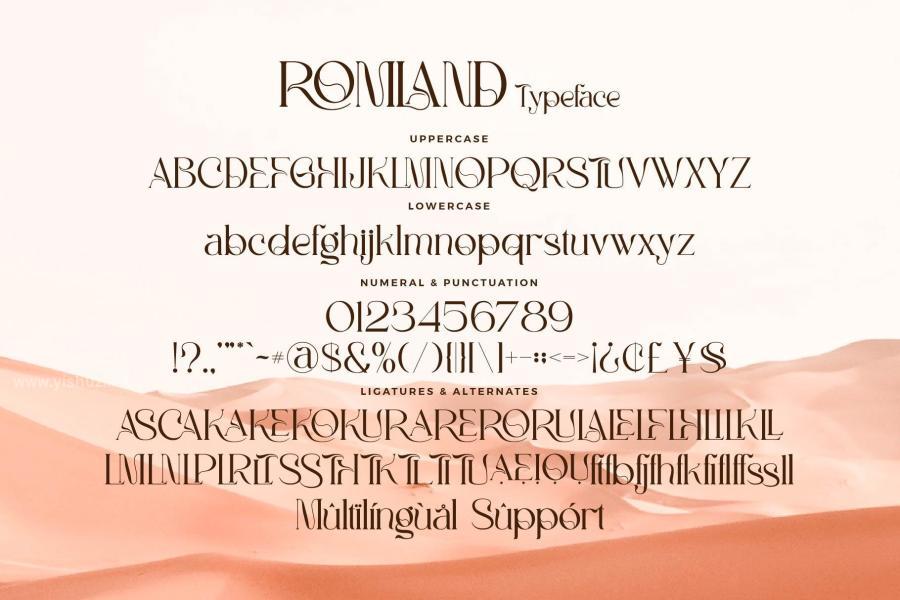 ysz-202819 ROMLAND---Classy-Serif-Fontz5.jpg