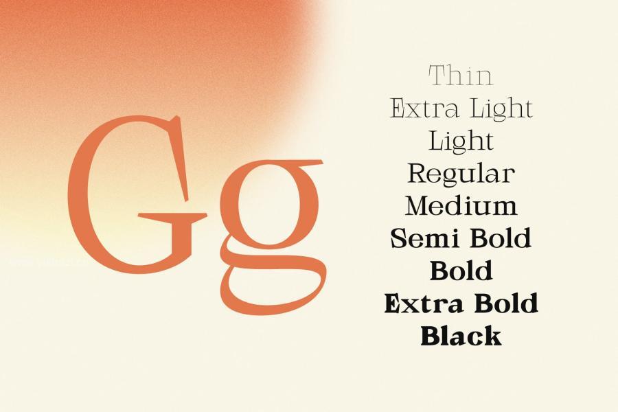 ysz-202853 Galgey---Font-Family--Variablez10.jpg