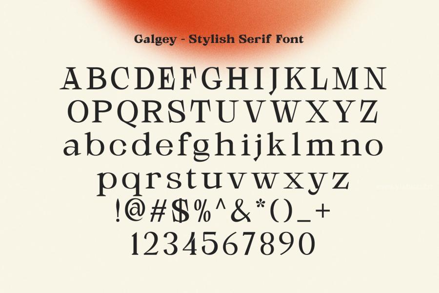 ysz-202853 Galgey---Font-Family--Variablez13.jpg