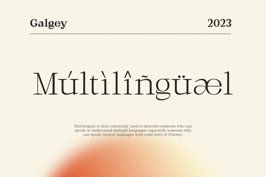 ysz-202853 Galgey---Font-Family--Variablez4.jpg