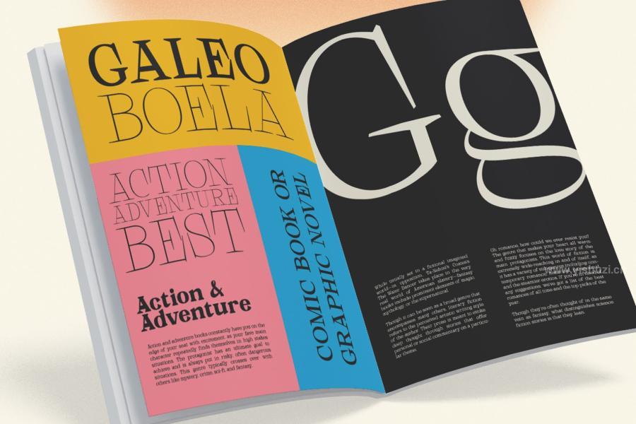 ysz-202853 Galgey---Font-Family--Variablez5.jpg
