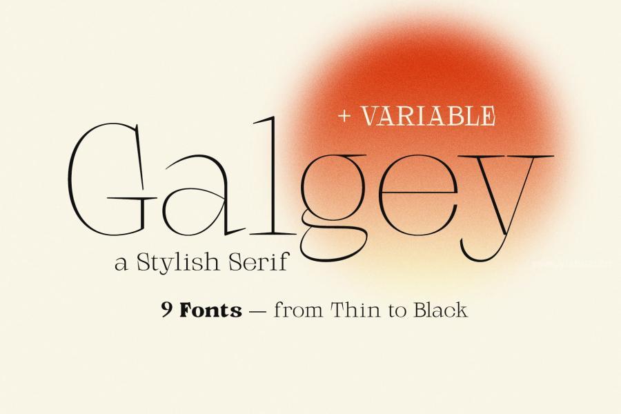 ysz-202853 Galgey---Font-Family--Variablez9.jpg