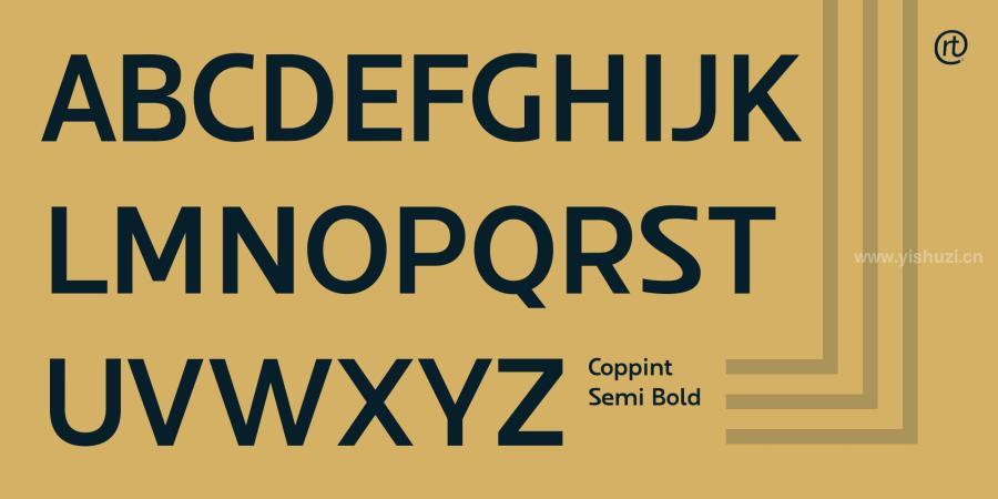 ysz-202881 Coppint-Font-familyz4.jpg
