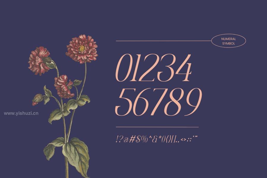 ysz-202900 Quirky-Fashion---Logo-Fontz9.jpg