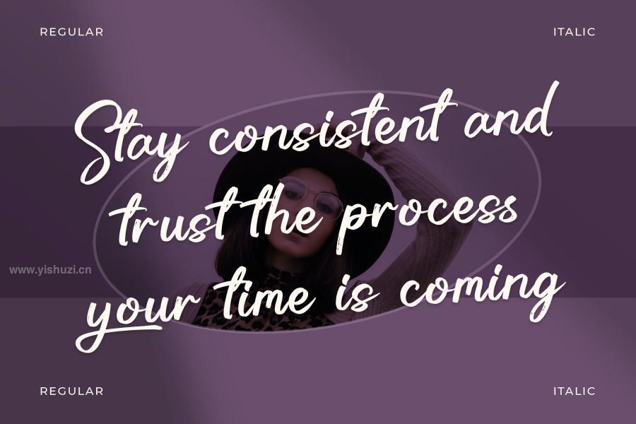 ysz-202902 Dailymilk-Elegant-Brush-Script-Fontz11.jpg