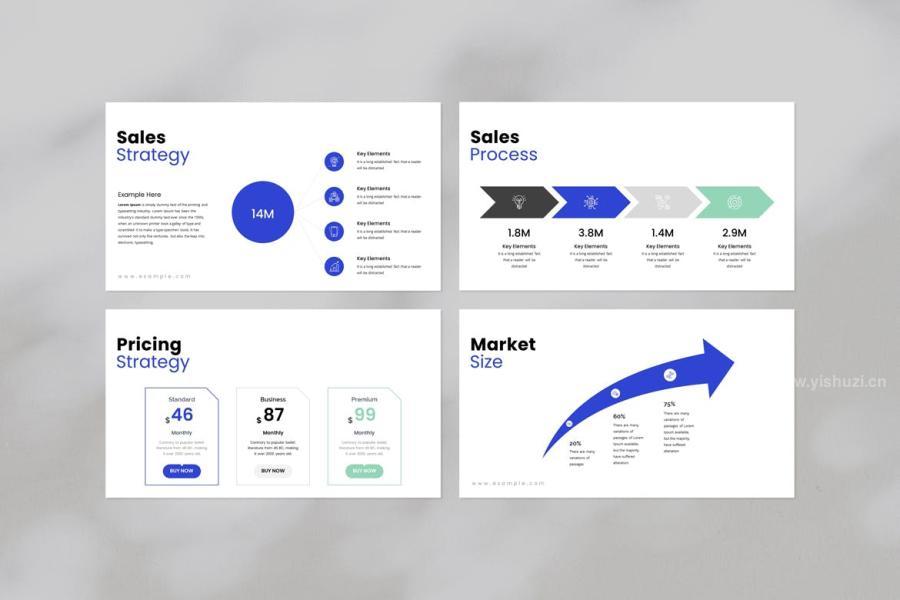ysz-202942 Marketing-Plan-Presentationz5.jpg