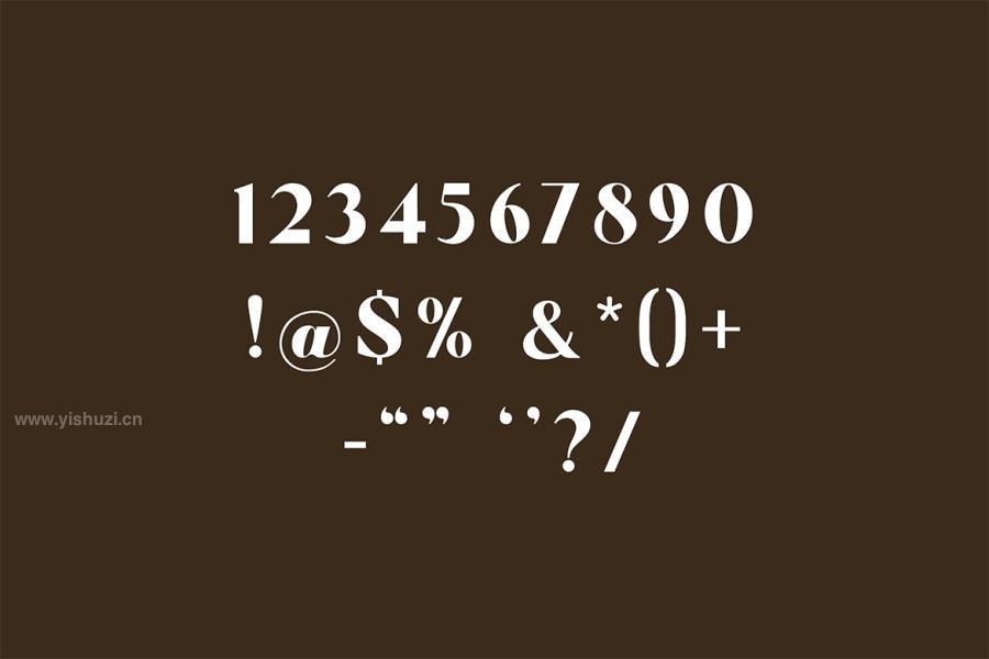 ysz-202775 Micklest-Luxury-Serif-Fontz10.jpg